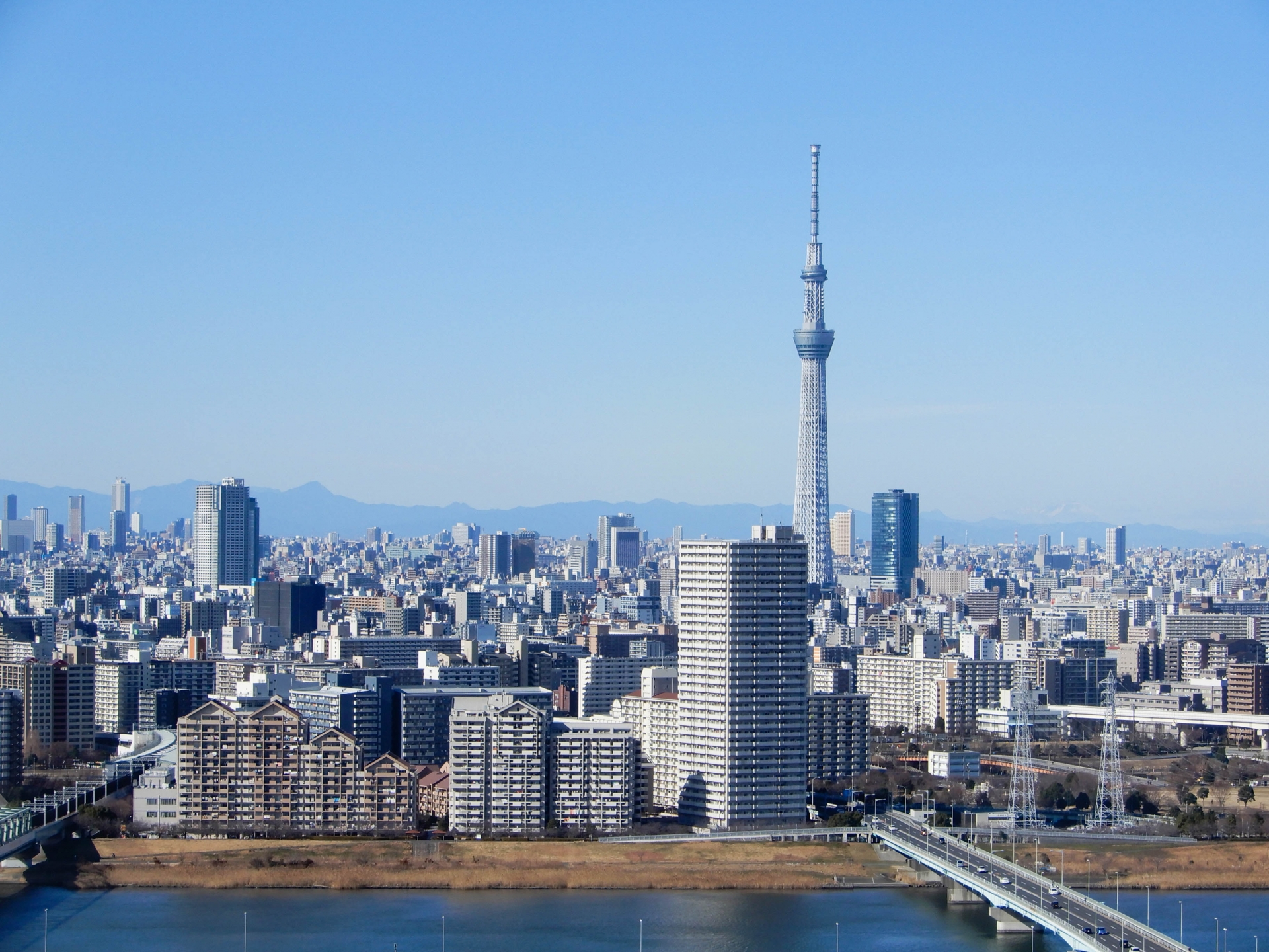 高層ビルが立ち並んでいる